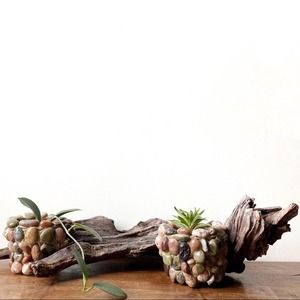 Driftwood Houseplant Decor Boho Farmhouse Primitive Decorative Planters Pot